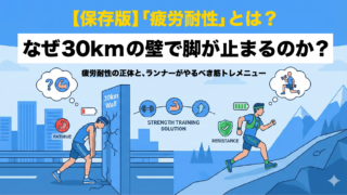 【保存版】「疲労耐性」とは？なぜ30kmの壁で脚が止まるのか？疲労耐性の正体と、ランナーがやるべき筋トレメニュー